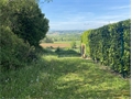 Photo numero 36302440 du bien UBI383564171